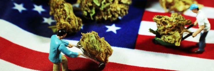 cannabis-usa