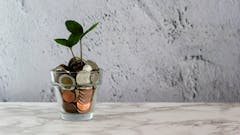sparen-geld-pflanze