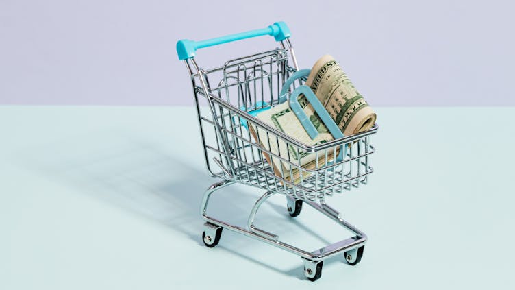 Einkaufswagen
mit Geldscheinen