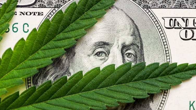 dollar-schein-von-einem-marihuana-blatt-verdeckt