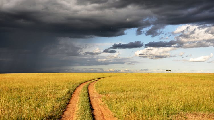 Feldweg führt in die Ferne; herannahender Sturm verdunkelt den Himmel