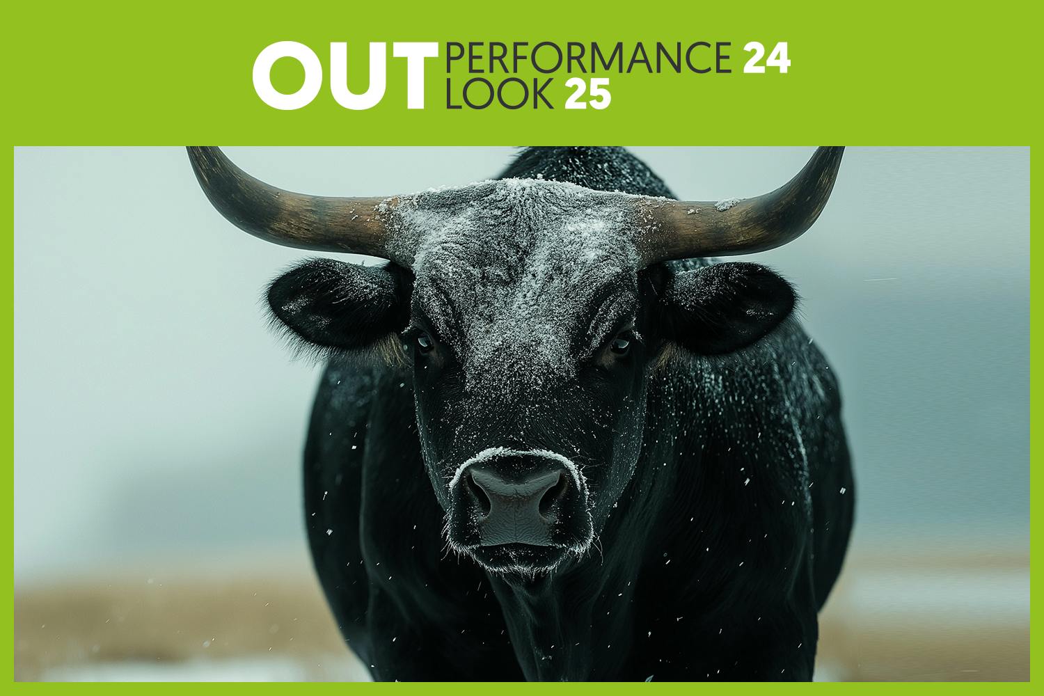 Outperformance-Outlook_Ausblick-2025