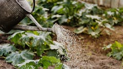 weekly-die-gute-giesskanne-blog