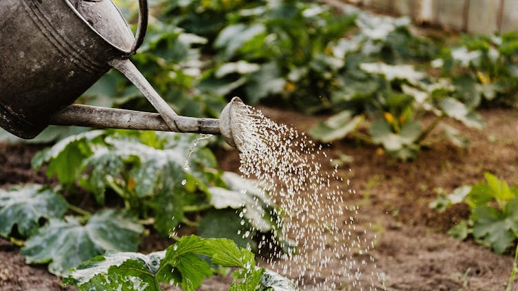 weekly-die-gute-giesskanne-blog