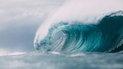 weekly-news-tsunami-blog