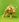 Bulle4Reg