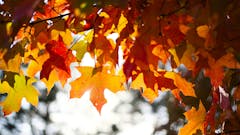 weekly-september-blog