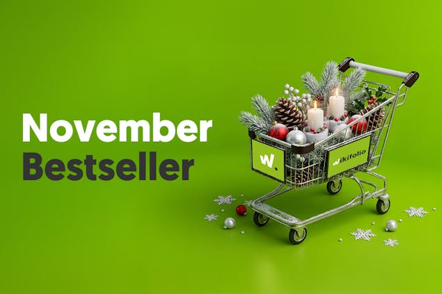 Bestseller_Winter_1500x1000_November