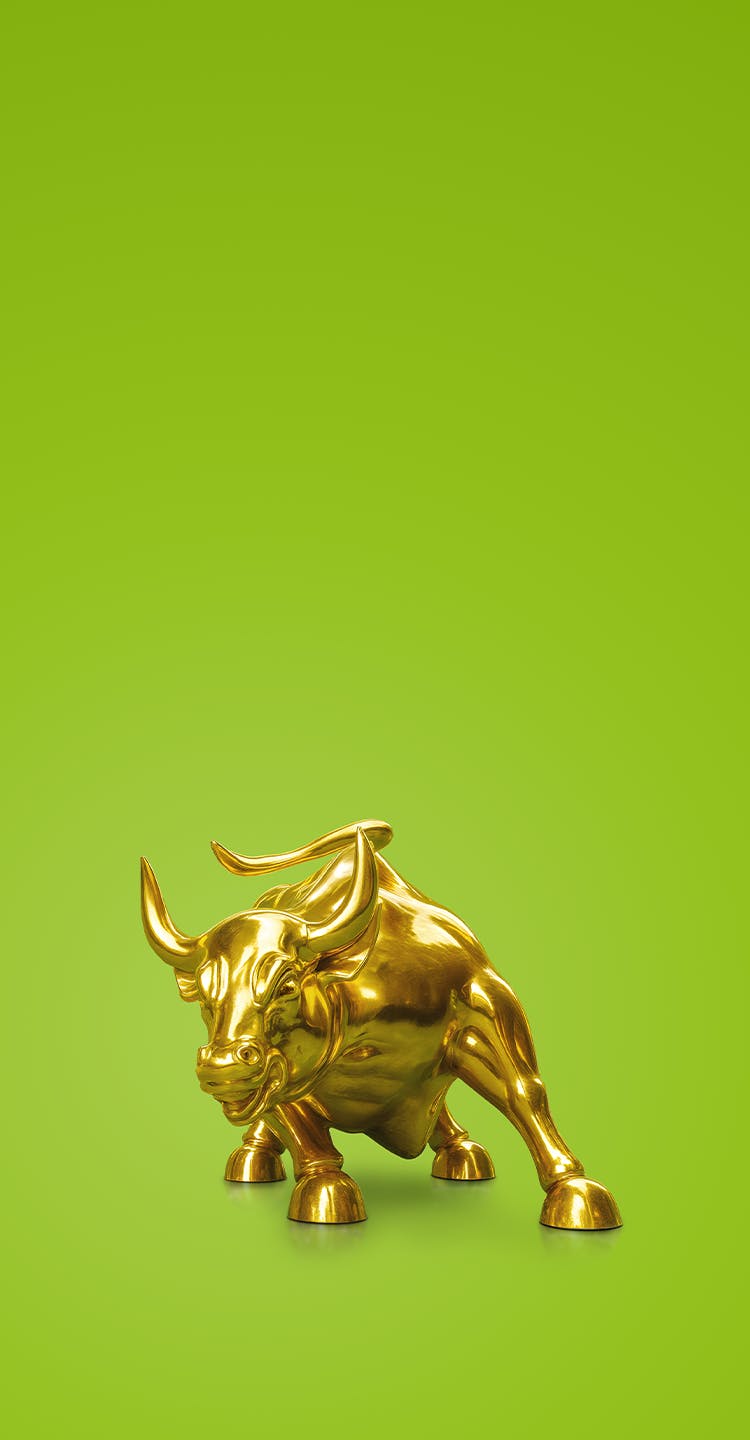 Golden Bull_1920x760