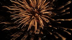 weekly-jahreswechsel-blog