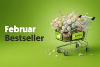 bestseller-wikifolios-februar-2026