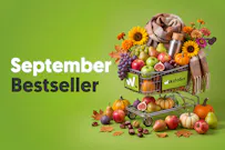 bestseller-wikifolios-september-2026