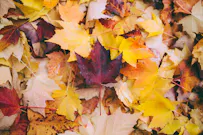 weekly_oktober_blog