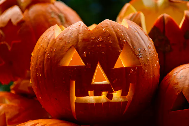 weekly-halloween-blog